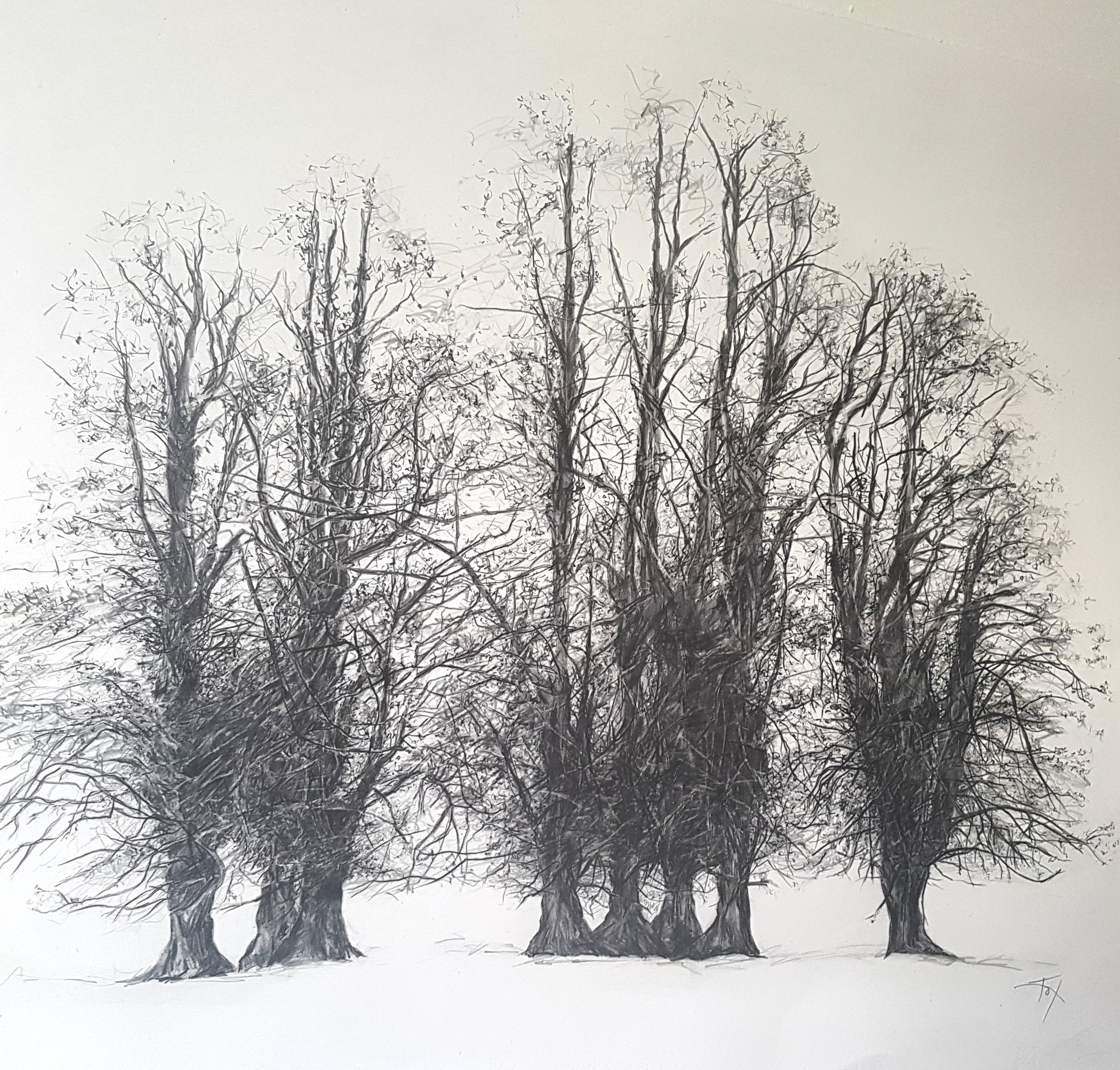 Barna trees